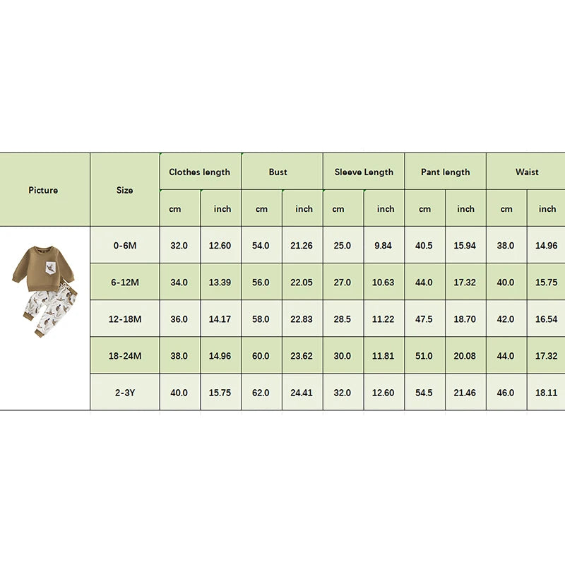 Lioraitiin Baby Boy Girl Outfits Wild Goose Print Pullover Sweatshirt Elastic Waist Pants with Pockets Clothes Set
